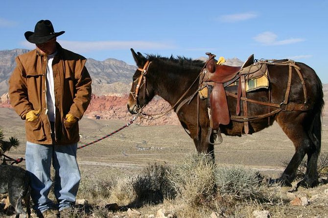 2-Hour Horseback Riding through Red Rock Canyon - What you’ll learn about the desert (beyond the photos)