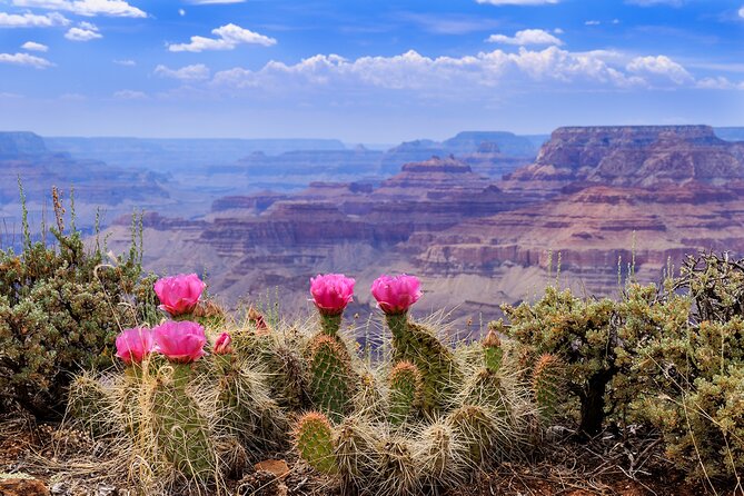 3-Day Grand Canyon, Antelope, Bryce & Zion Tour from Vegas - Day 3: Zion National Park’s Virgin River walk, then back to Vegas