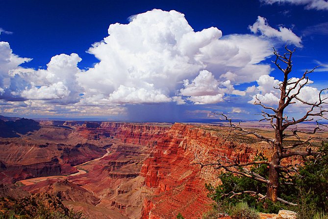 3 Hour Back-Road Safari to Grand Canyon with Entrance Gate By-Pass at 9:30 am - The 30-Minute Gate By-Pass: Fewer Lines, More Canyon Minutes