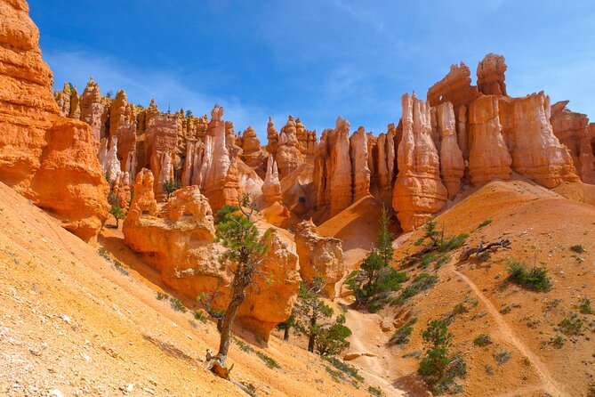 4-Day Southwest Giant Ring National Parks Tour from Las Vegas - Why this Southwest Giant Ring tour works when you’re short on time