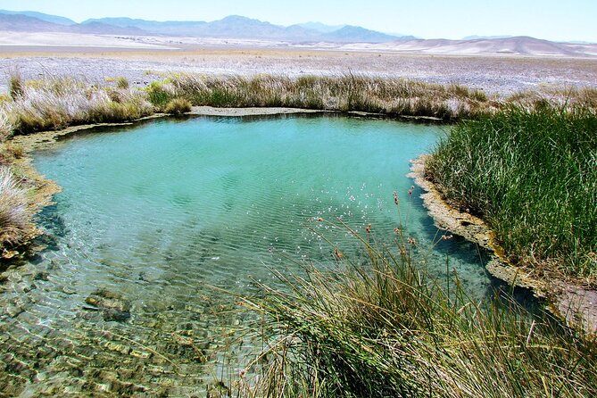 4-Hour Private Hidden Hot Springs Tour near Death Valley - Stop: Tecopa Hot Springs and the Two-Hour Soak