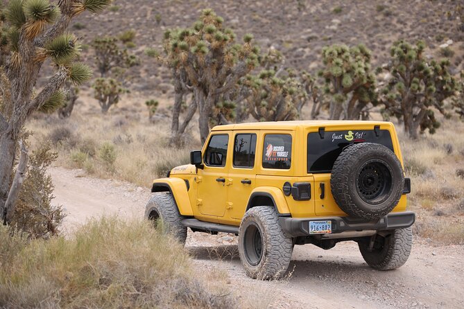 5 Hour Las Vegas Off-Road: Self Drive Jeep Mojave Adventure - Private Jeep Time in the Mojave: What This 5-Hour Plan Feels Like