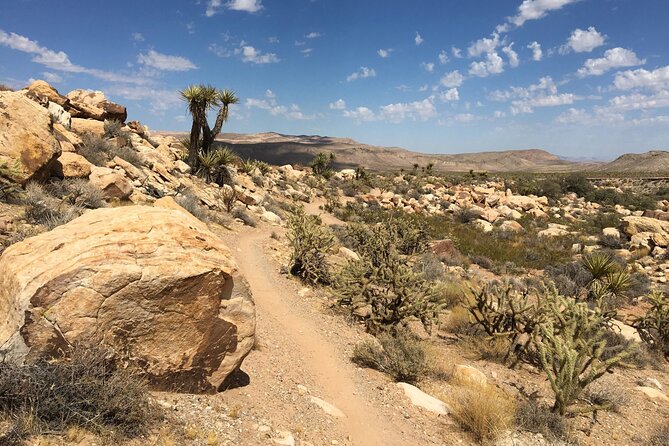 5 Hour Las Vegas Off-Road: Self Drive Jeep Mojave Adventure - Cottonwood Valley Road Drive: Wildlife Chances and Petroglyphs
