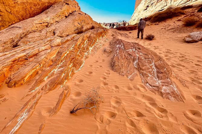 6hr Valley of Fire, Hoover Dam, Boulder City Tour from Las Vegas - Who should book this tour?