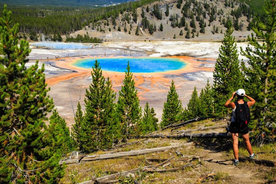 7-Day Yellowstone National Park Rocky Mountain Explorer - Rocky Mountain finale: wolves, grizzlies, and one last BBQ night