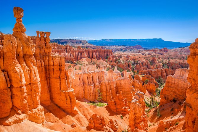 7-Day: Zion, Bryce, Monument Valley, Arches and Grand Canyon Tour - Price and Value: What You’re Really Getting for $1,675.80
