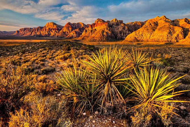 7 Magic Mountains Tour and Las Vegas Sign on a Slingshot - A practical comfort checklist before you go