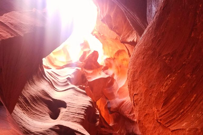 Antelope Canyon, Horseshoe Bend and Lake Powell Tour from Las Vegas - The Colorado River Thread: Why These Stops Pair So Well