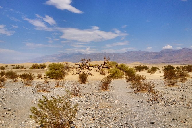 Arizona Ghost Towns and Wild-West Day Trip from Las Vegas - Mojave Desert Driving and Veterans Memorial Highway Views