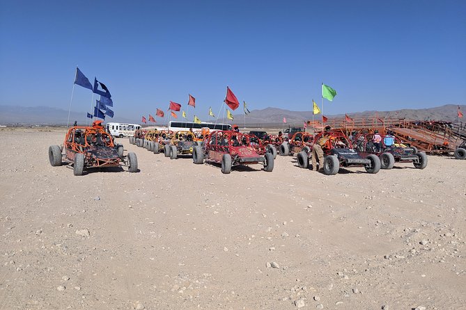 ATV Tour and Dune Buggy Chase Dakar Combo Adventure from Las Vegas - Las Vegas Dunes Recreation Lands: Dune-Bashing Style Driving with Named Stops