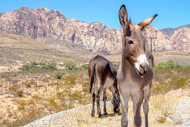 Audio Driving Tour: Grand Canyon West, Hoover Dam Red Rock Canyon - Hoover Dam Bypass: quick stop, big numbers