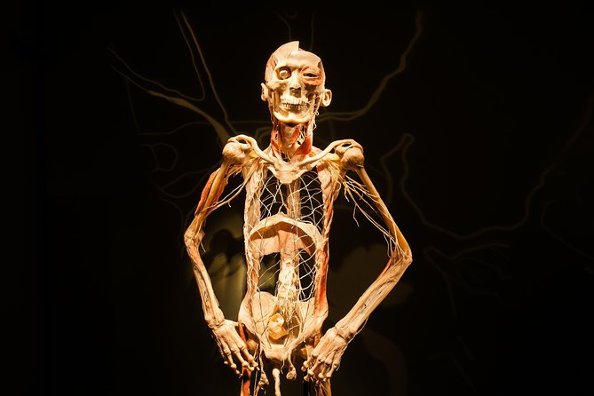 Bodies The Exhibition at the Luxor Hotel and Casino - Stop 1 at Luxor: getting to the exhibit without turning it into a scavenger hunt