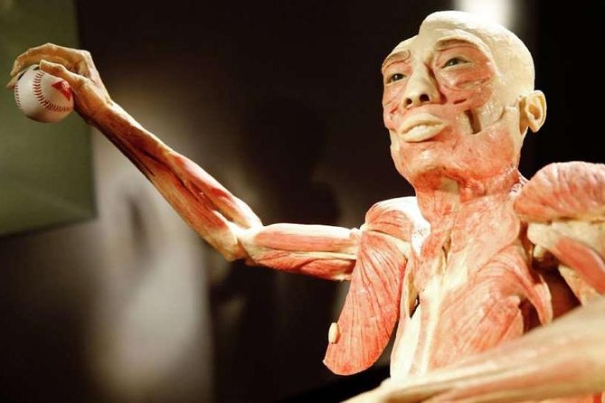 Bodies The Exhibition at the Luxor Hotel and Casino - Photos, food, and staying comfortable inside