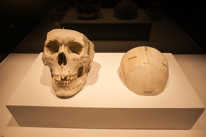 Bodies The Exhibition at the Luxor Hotel and Casino - A good match for the curious: who should book this