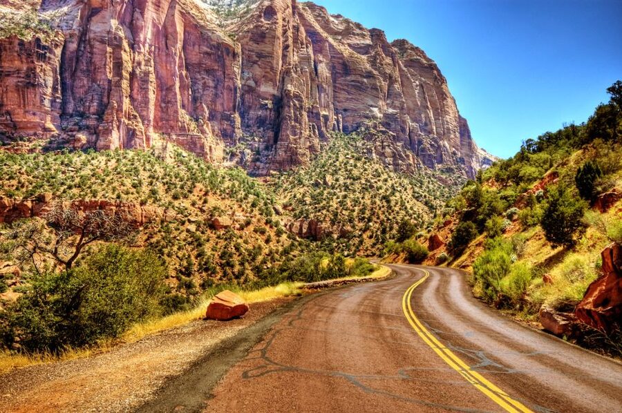 Bryce Canyon and Zion Park Combo Tour From Las Vegas - Wildlife Odds: Mule Deer, Bighorn Sheep, and Big Raptors
