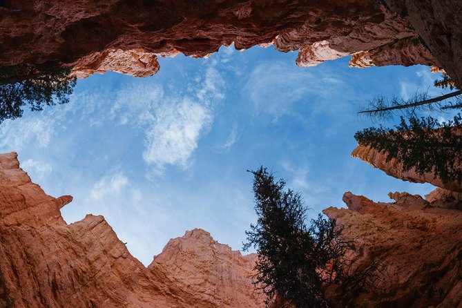 Bryce Canyon & Zion National Park from Las Vegas with Lunch, WiFi - Zion Canyon Visitor Center: the fast orientation that pays off later