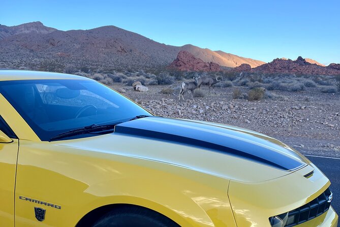 Bumblebee Camaro Tour: Transformers Movie Locations - 6:00 am pickup and a max-of-3 setup that feels personal