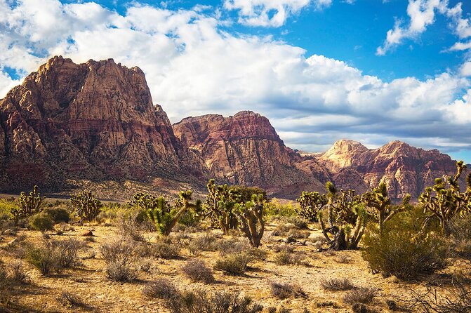 California Desert, Red Rock Views and Seven Magic Mountains - Getting to the Mojave: pickup, timing, and where you’ll be dropped off