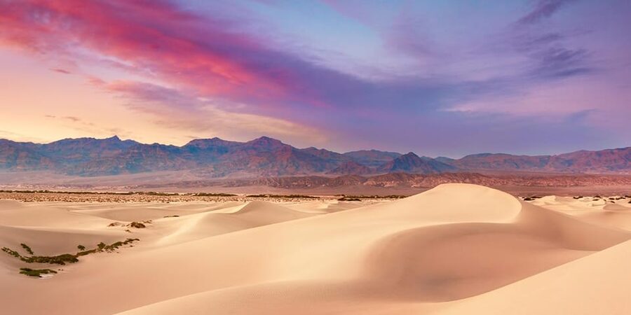 Death Valley an Mojave Desert VIP Small Group Tour Las Vegas - Who should book this Death Valley and Mojave day