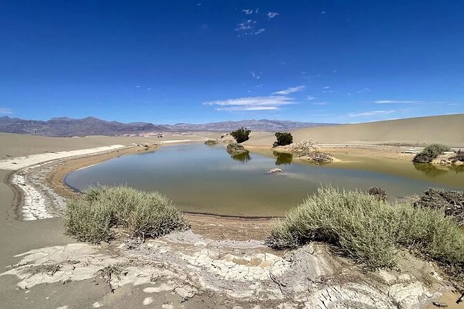 Death Valley Mojave Desert VIP Small Group Tour from Las Vegas - The small-group setup: van choice and what it means for your comfort