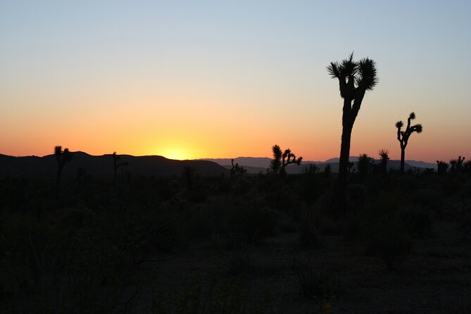 Death Valley Small Group Day Tour with Sunset and Stargazing - A day built around the Desert and the Dark Sky