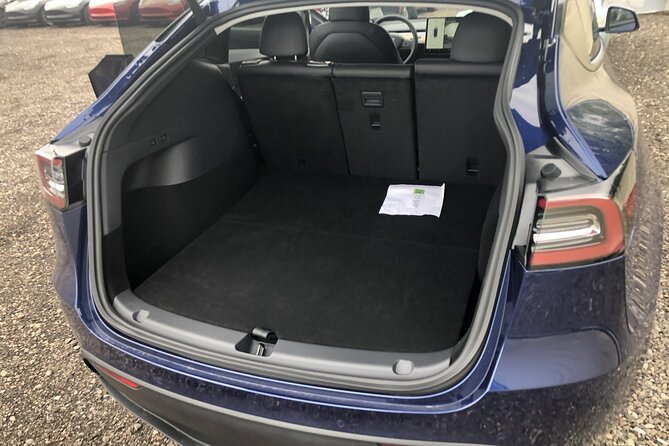 Departure Private Transfer: Las Vegas to Las Vegas Airport by electric vehicle - What Can Go Wrong: The One Problem to Plan Around