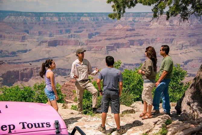 Desert View Grand Canyon Jeep Tour - The Pink Jeep ride: open-air comfort, small-group control, and safety reality