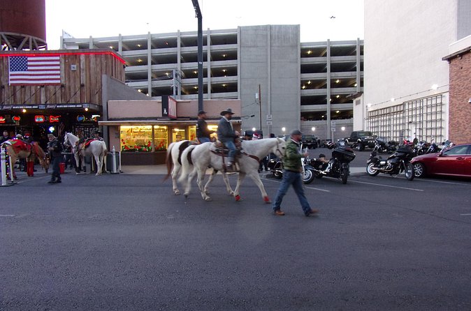 Downtown Las Vegas Evening Tour by Segway - Photos and Timing: How to Get Good Shots Without Holding Up the Ride