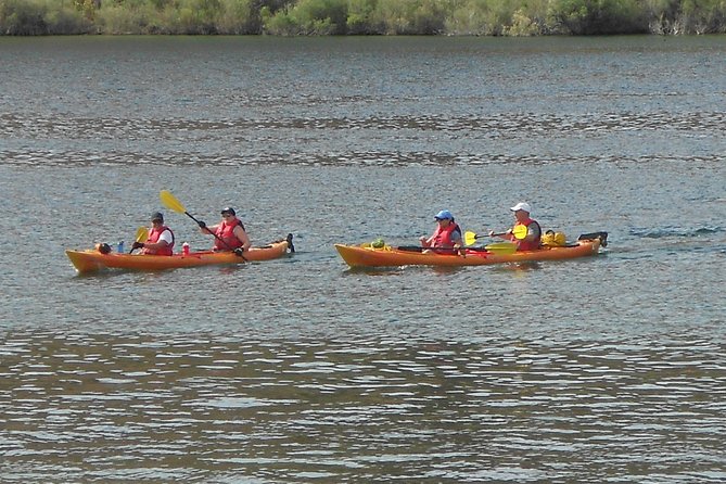 Emerald Cave Kayak Trip from Willow Beach near Las Vegas - Getting to Willow Beach Marina: Self-Driving Reality Check