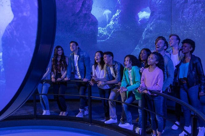 Flyover in Las Vegas: An Immersive Flying Ride Experience - Price and value: is $33 worth it?