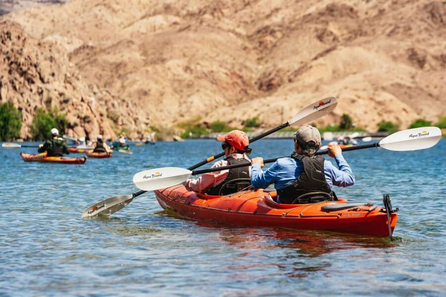 From Las Vegas: Black Canyon Half-Day Kayak Tour - Wildlife spotting from your kayak (and how to actually see it)