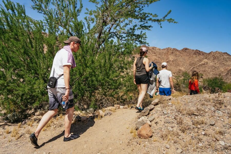 From Las Vegas: Black Canyon Half-Day Kayak Tour - How the guides shape the value (and why small groups matter)