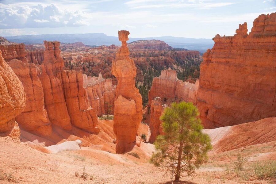 From Las Vegas: Bryce Canyon and Zion Park Tour with Lunch - Who This Tour Suits Best (and Who Might Want Another Option)
