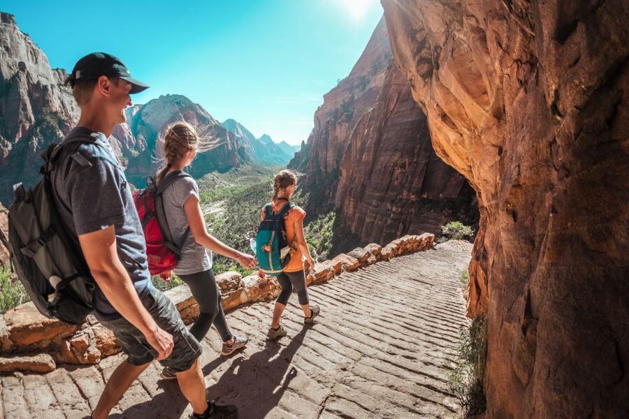 From Las Vegas: Bryce Canyon and Zion Park Tour with Lunch - Zion National Park: Towering Red Cliffs and Following the Virgin River