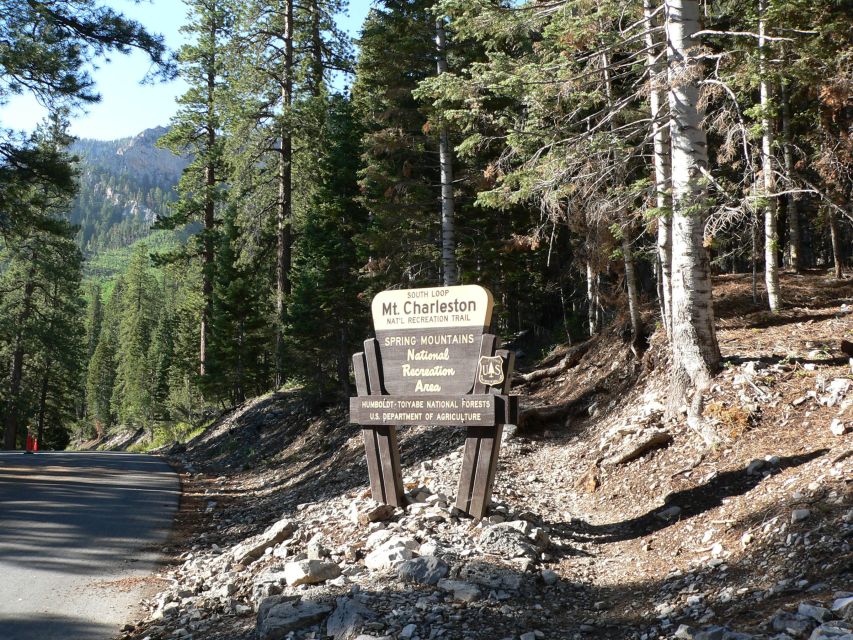 From Las Vegas: Day Trip to Mount Charleston Resort - Desert-to-Pine: Why The Drive Feels Like Part of the Tour
