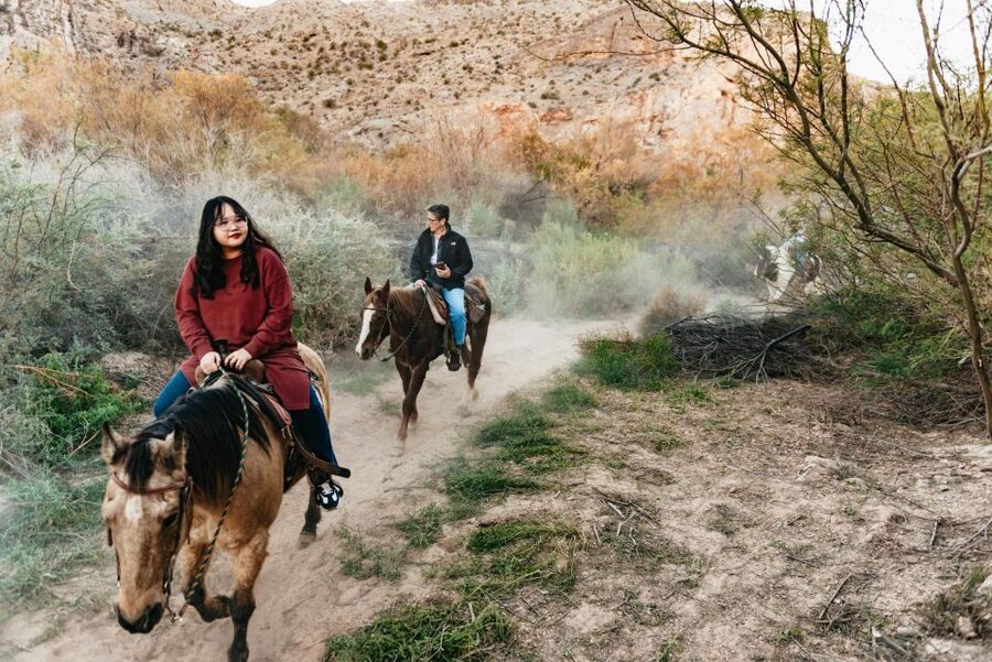 From Las Vegas: Desert Sunset Horseback Ride with BBQ Dinner - The Ranch Extras: Animals, Bull Time, and How the Crew Keeps It Fun