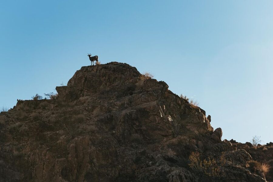 From Las Vegas: Emerald Cave Guided Kayaking Tour - River Gauger’s Home hike: short walk, big overlook photos