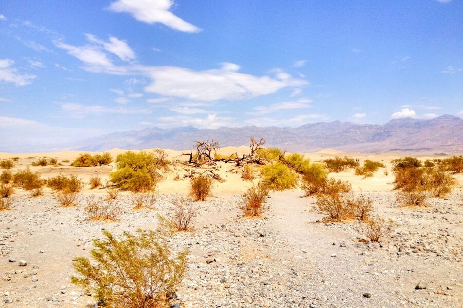From Las Vegas: Ghost Town Wild West Adventures Day Trip - Key things to know before you go