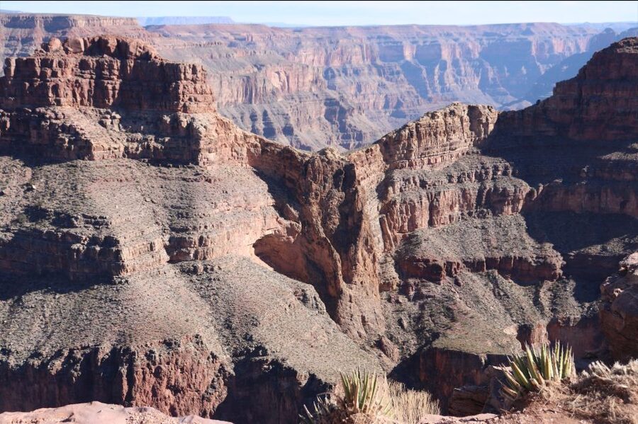 From Las Vegas: Grand Canyon & Hoover Dam Private Photo Tour - Joshua Tree Forest and Hemenway Park: the quiet, photographic detour