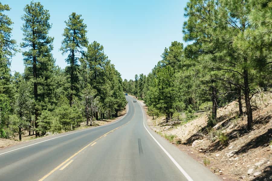 From Las Vegas: Grand Canyon South Rim Day Trip - Who This South Rim Trip Suits Best