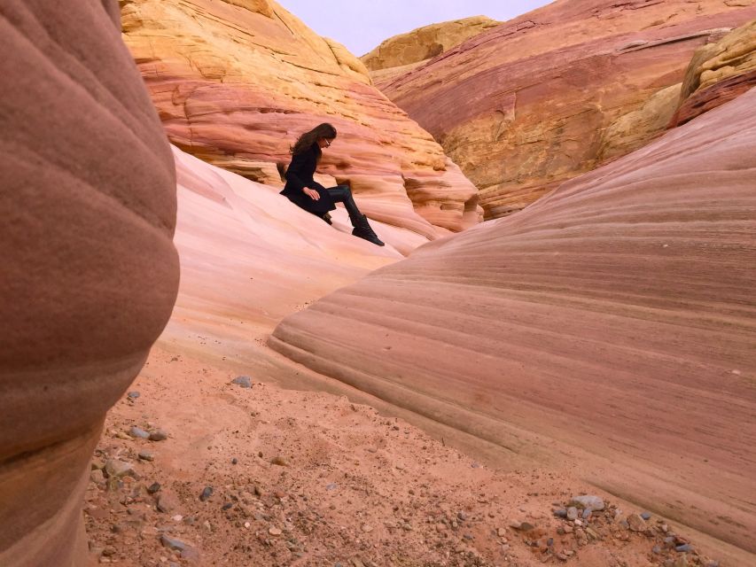 From Las Vegas: Valley of Fire State Park Tour - Petroglyphs and petrified trees: the two must-sees