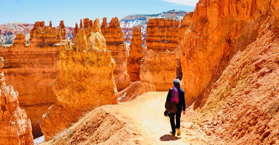 From Las Vegas: Zion and Bryce Canyon Day Trip with Pickup - Bryce Canyon: hoodoos, the hike options, and where the photos happen