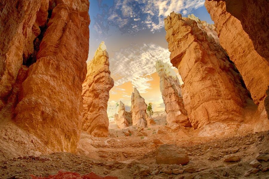 From Las Vegas: Zion and Bryce Canyon Day Trip with Pickup - Price and value: is $239 a good deal?