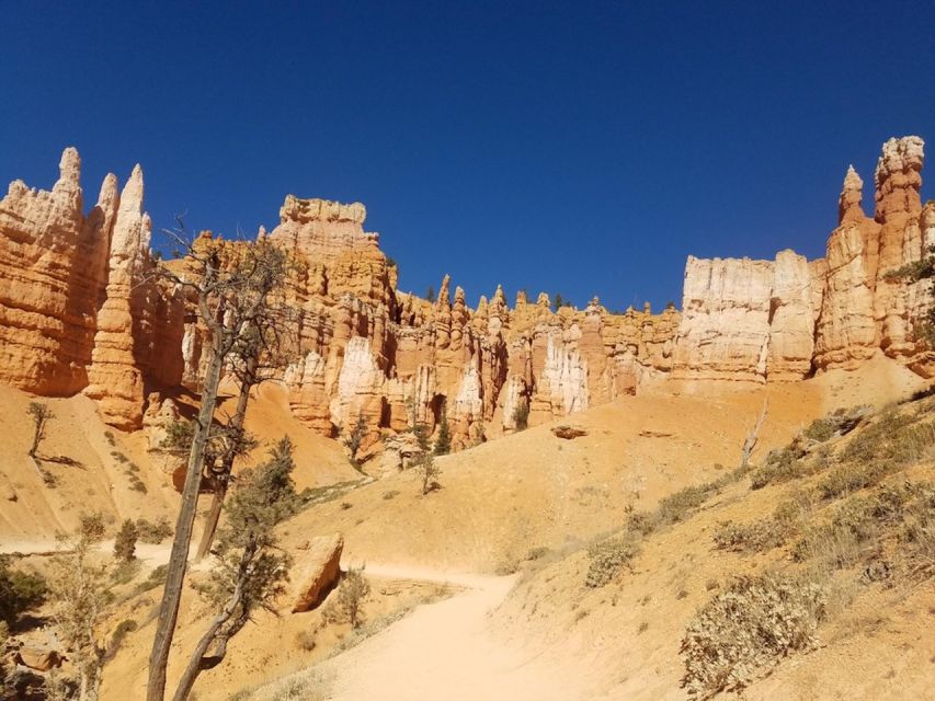 From Las Vegas: Zion and Bryce Canyon Guided Day Tour - Two parks in one day: why this 14-hour plan works