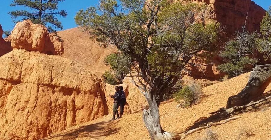 From Las Vegas: Zion and Bryce Canyon Guided Day Tour - Zion viewpoints: Angel’s Landing area, Narrows views, and the big scenic stops