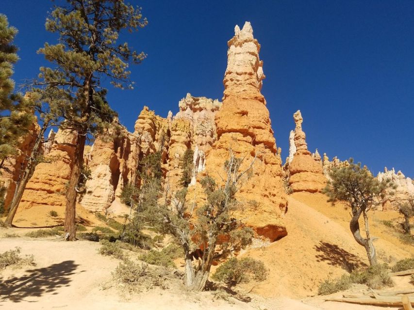 From Las Vegas: Zion and Bryce Canyon Guided Day Tour - Lunch, snacks, and drinks: the comfort stuff that keeps you happy