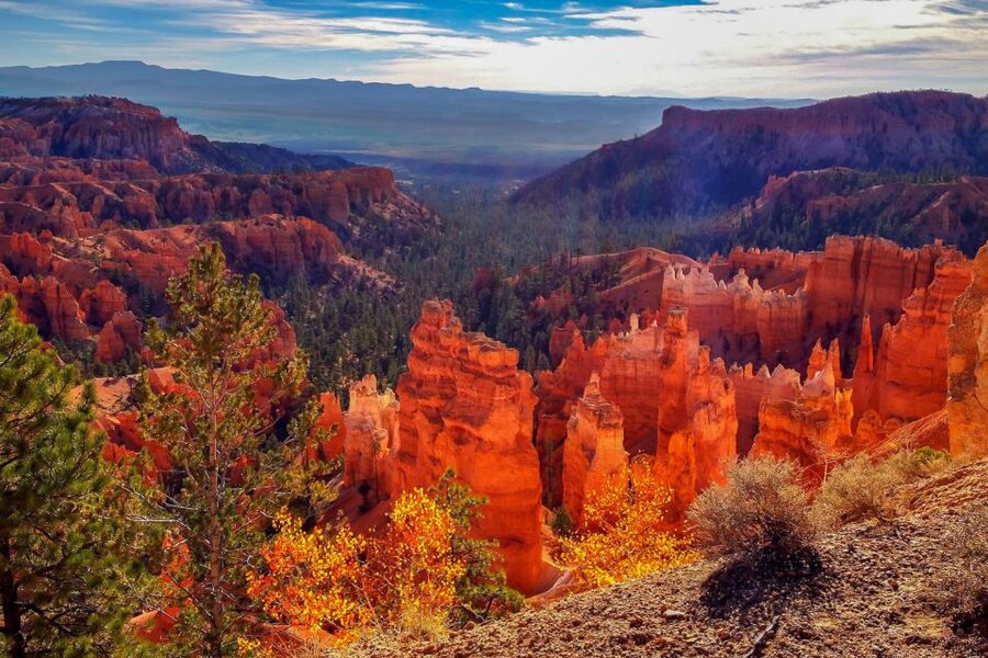 From Las Vegas: Zion and Bryce National Park Overnight Tour - Bryce Afternoon Details: Choosing Your Pace Inside the Amphitheater