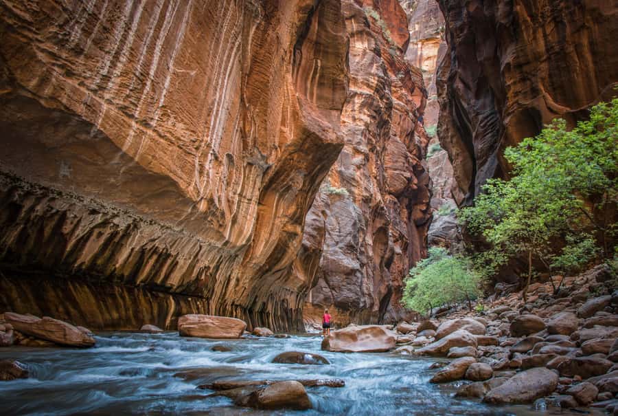 From Las Vegas: Zion National Park Day Trip - Visitor Center and Zion Human History Museum: turning rocks into a story