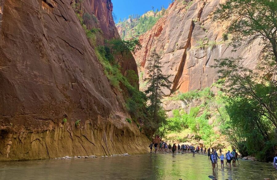 From Las Vegas: Zion National Park Small Group Adventure - Key highlights I’d build a day around
