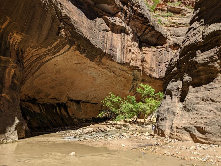 From Las Vegas: Zion National Park Small Group Adventure - Warm-up stops: Mt. Carmel Tunnel and Checkerboard Mesa